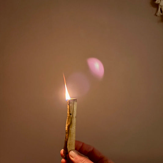 Palo Santo Sticks "heiliges Holz" für deinen Selfcare-Moment