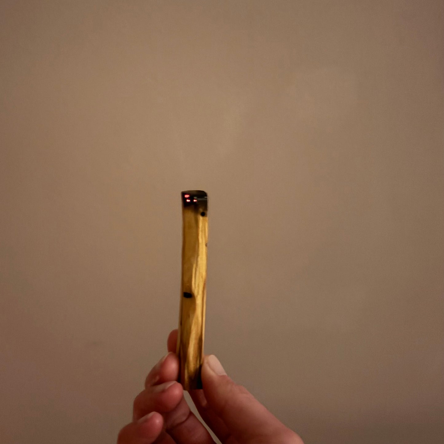 Palo Santo Holz Stick für energetische Reinigung und Räucherrituale