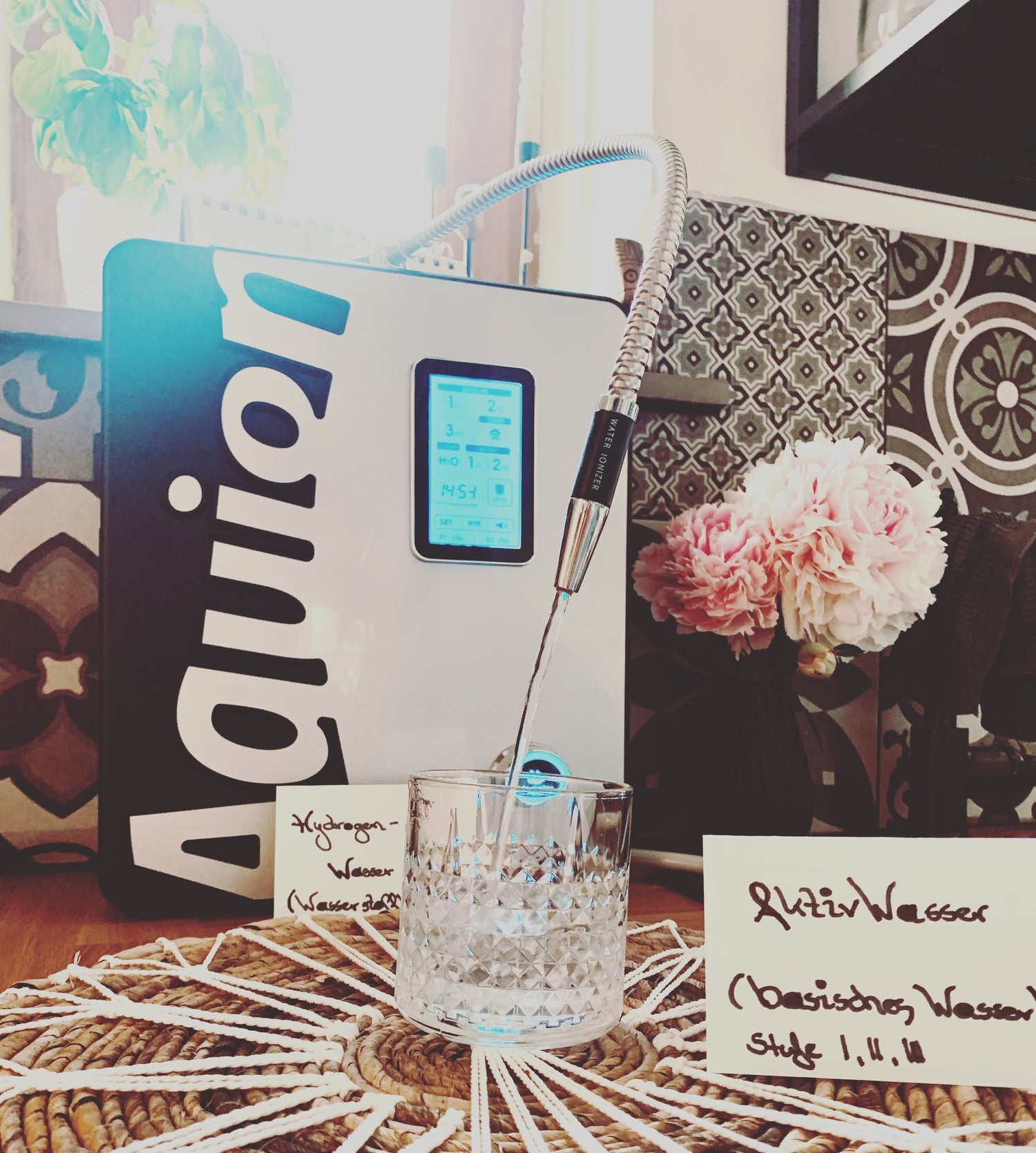 Aquion PRIMUS pro unser ganz persönliches Wasserkraftwerk