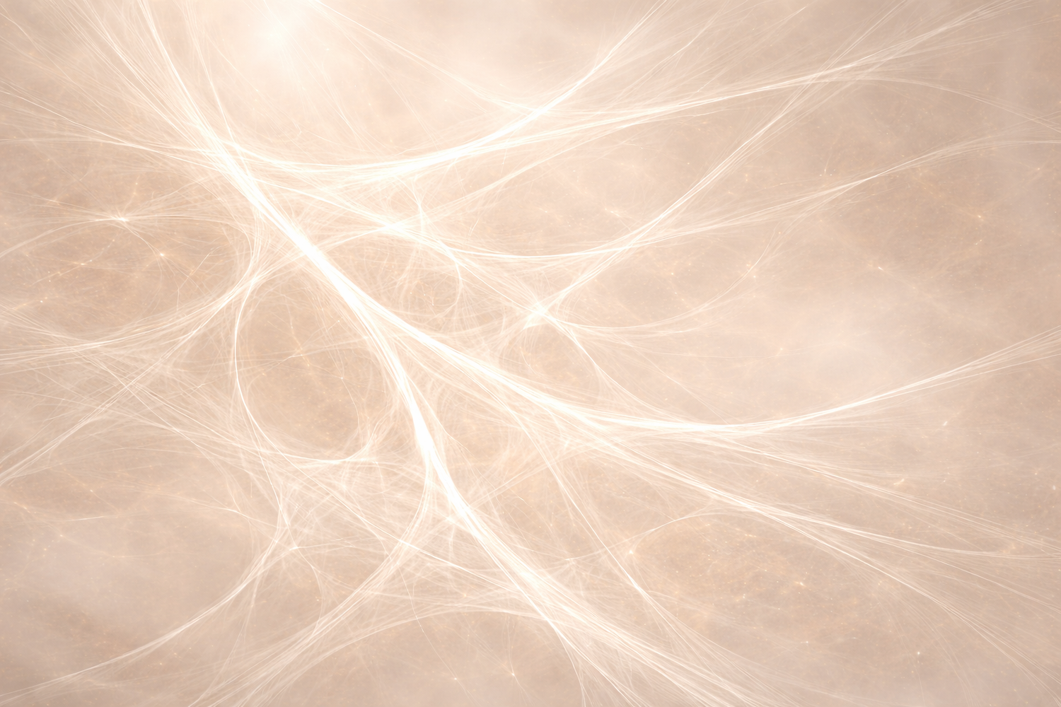 Faszination Faszien Netzwerk 