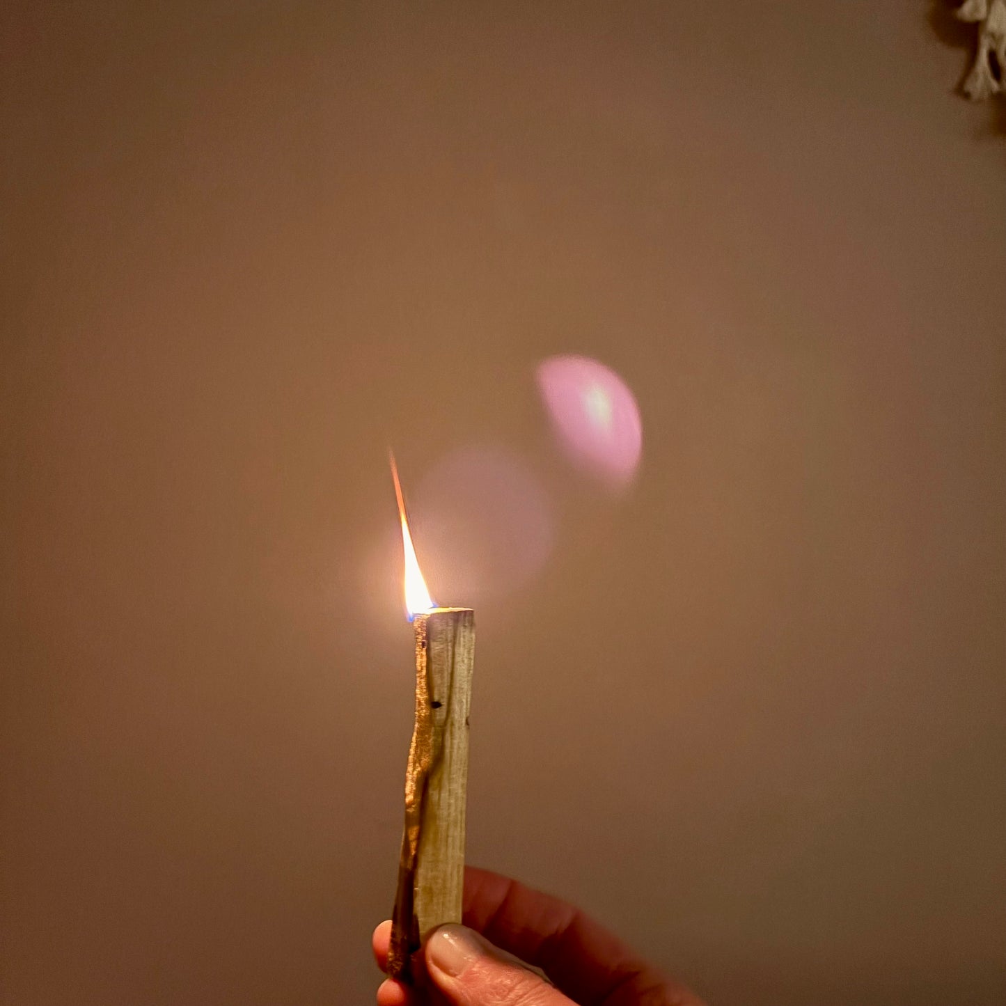 Palo Santo Sticks "heiliges Holz" für deinen Selfcare-Moment 