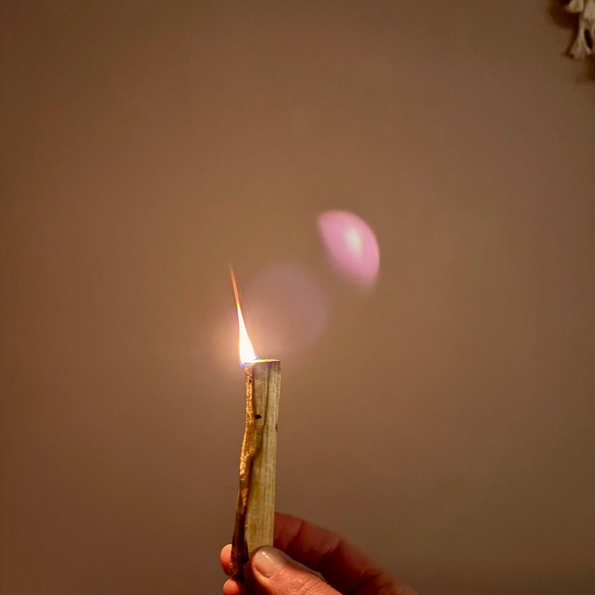 Palo Santo Sticks "heiliges Holz" für deinen Selfcare-Moment 